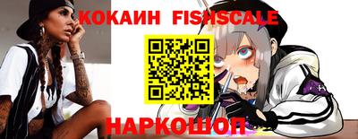 индика Можга