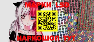 индика Можга