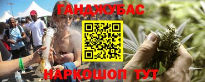 индика Можга