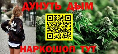 индика Можга