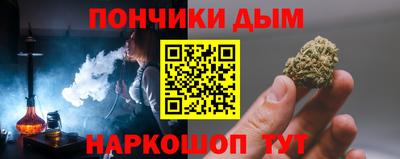 индика Можга