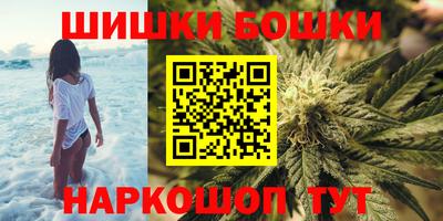 индика Можга