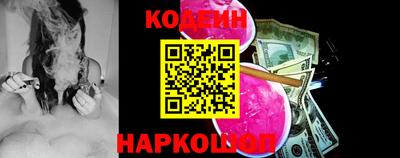 индика Можга