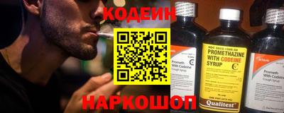индика Можга