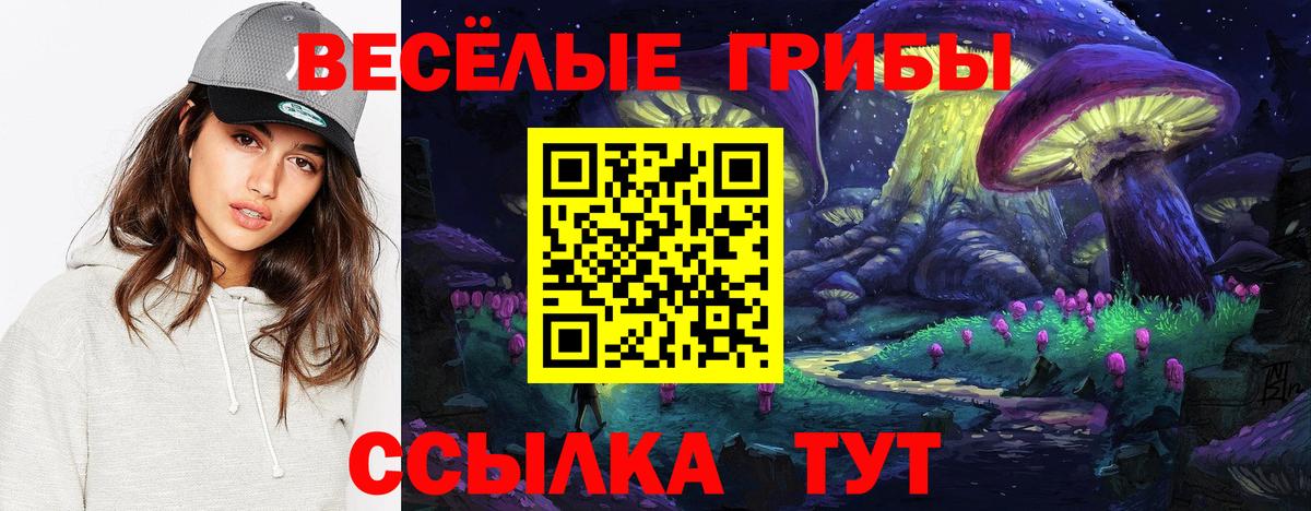 Псилоцибиновые грибы Psilocybe  Вход с VPN  Псилоцибиновые грибы MAGIC MUSHROOMS  Черкесск 